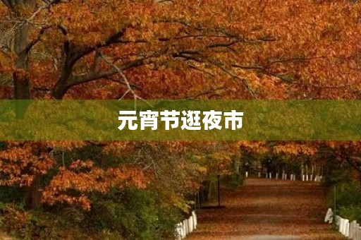 元宵节逛夜市