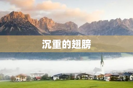 沉重的翅膀