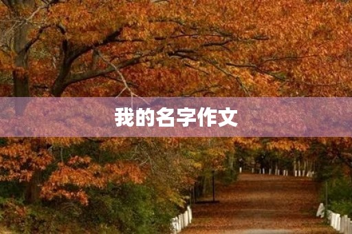 我的名字作文 我的名字作文