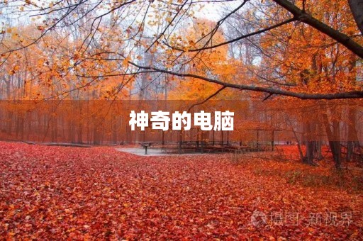 神奇的电脑 神奇的电脑