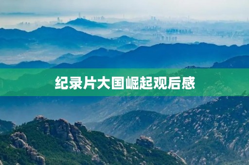 纪录片大国崛起观后感 纪录片大国崛起观后感