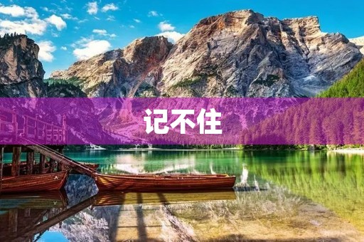 记不住 记不住