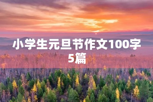 小学生元旦节作文100字5篇