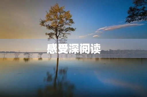 感受深阅读 感受深阅读
