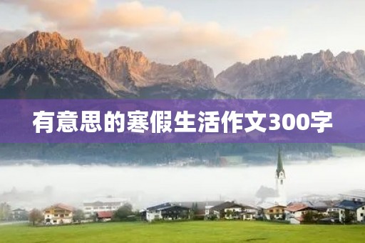 有意思的寒假生活作文300字