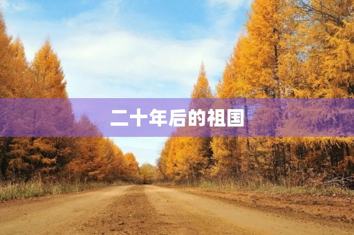 二十年后的祖国