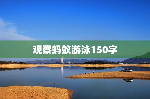 观察蚂蚁游泳150字