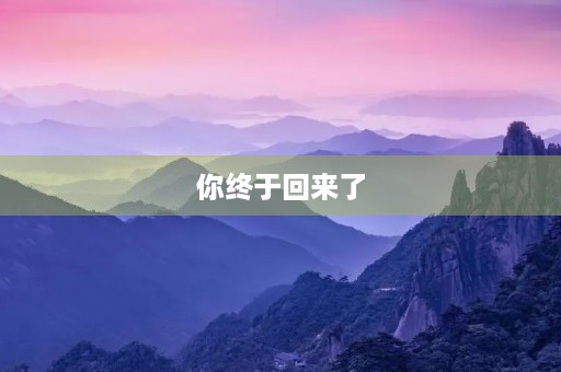 你终于回来了 你终于回来了