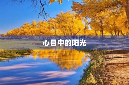 心目中的阳光