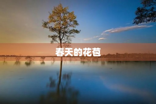 春天的花苞 春天的花苞