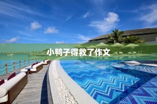 小鸭子得救了作文 小鸭子得救了作文