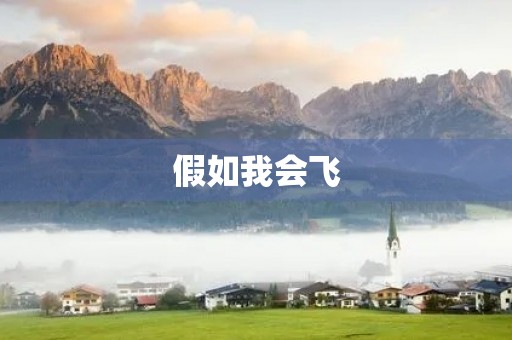 假如我会飞 假如我会飞