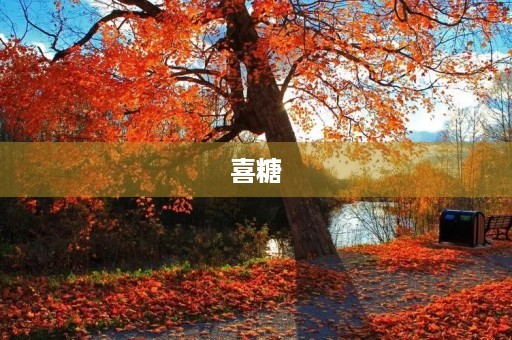喜糖 喜糖