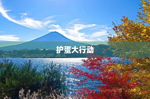 护蛋大行动 护蛋大行动