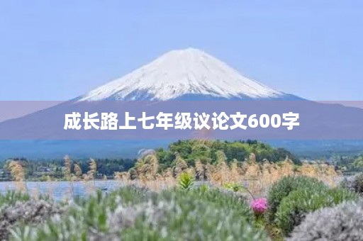 成长路上七年级议论文600字
