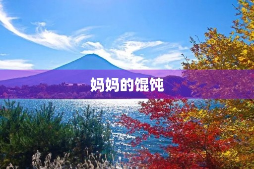 妈妈的馄饨