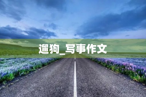 遛狗_写事作文