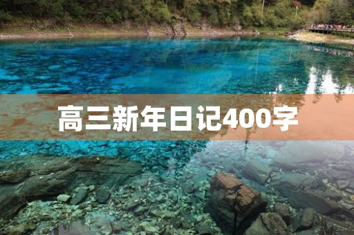 高三新年日记400字 高三新年日记400字