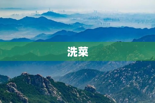 洗菜 洗菜