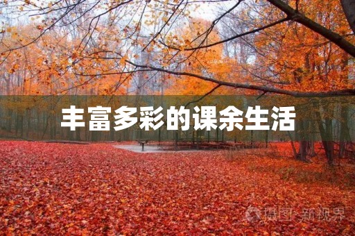 丰富多彩的课余生活 丰富多彩的课余生活