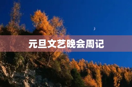 元旦文艺晚会周记