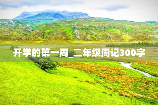 开学的第一周_二年级周记300字