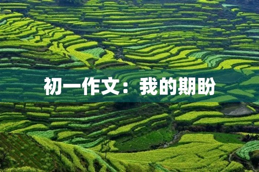 初一作文：我的期盼