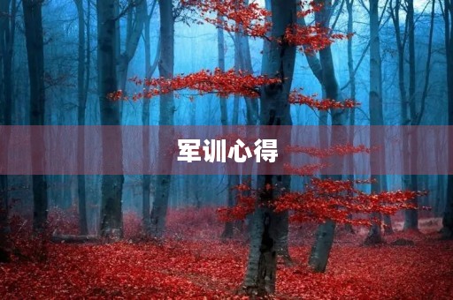 军训心得