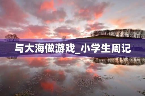 与大海做游戏_小学生周记 与大海做游戏_小学生周记