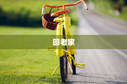 回老家 回老家