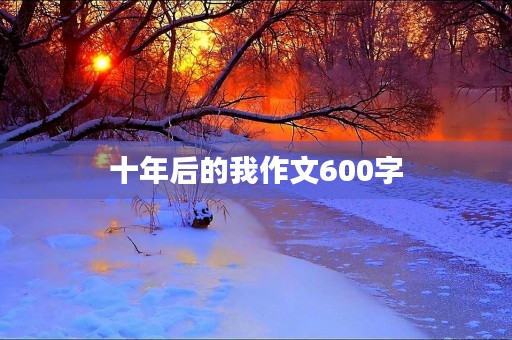 十年后的我作文600字 十年后的我作文600字