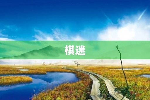 棋迷 棋迷