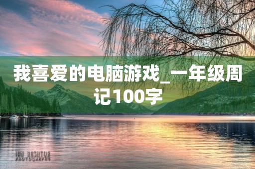 我喜爱的电脑游戏_一年级周记100字 我喜爱的电脑游戏_一年级周记100字