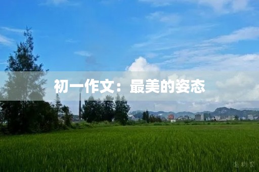 初一作文：最美的姿态