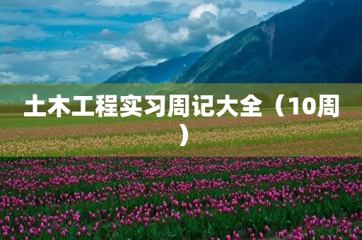 土木工程实习周记大全（10周）