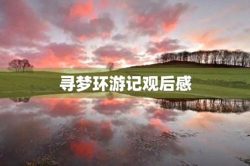 寻梦环游记观后感 寻梦环游记观后感
