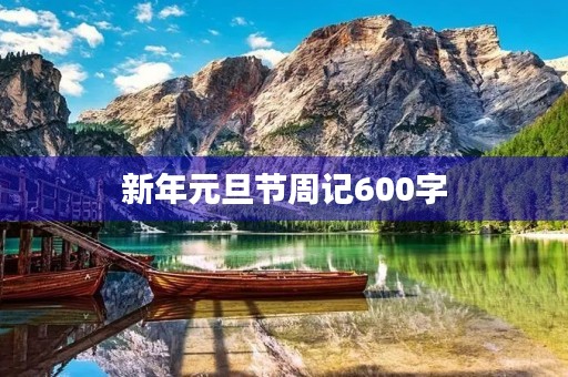 新年元旦节周记600字