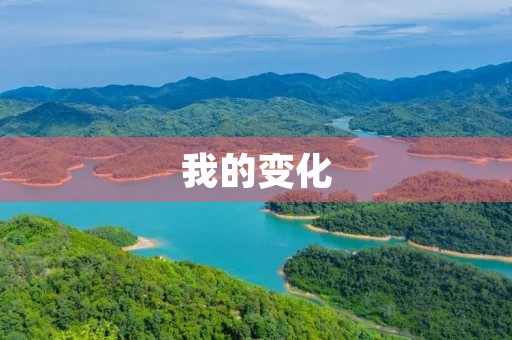 我的变化