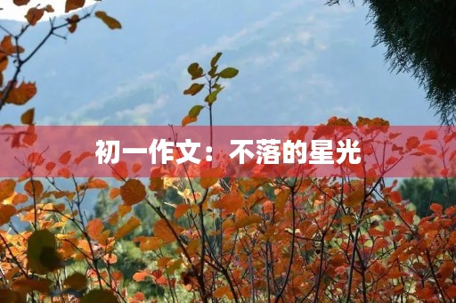 初一作文：不落的星光