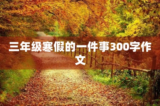 三年级寒假的一件事300字作文 三年级寒假的一件事300字作文