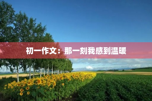 初一作文:那一刻我感到温暖 初一作文:那一刻我感到温暖