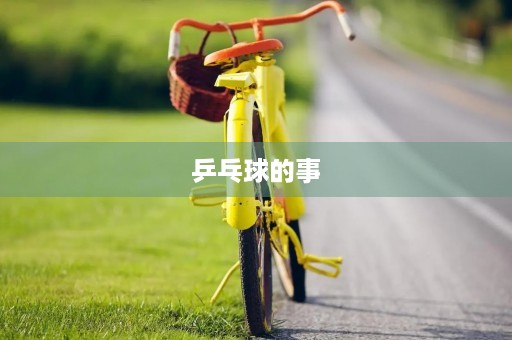 乒乓球的事 乒乓球的事