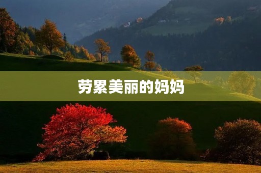 劳累美丽的妈妈 劳累美丽的妈妈