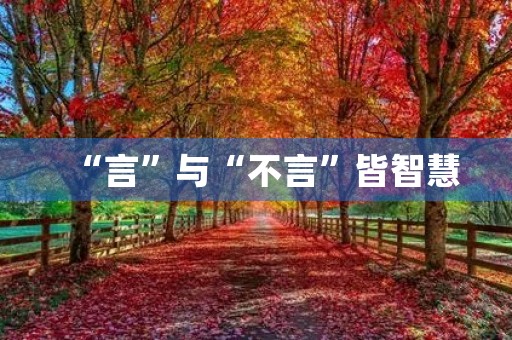 “言”与“不言”皆智慧