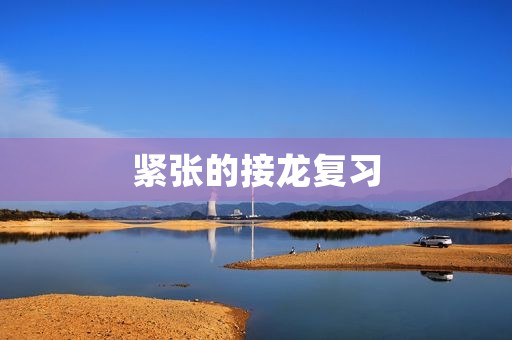 紧张的接龙复习 紧张的接龙复习