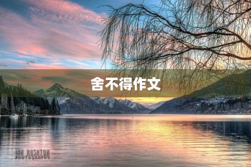 舍不得作文 舍不得作文