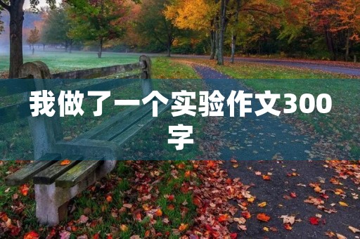 我做了一个实验作文300字