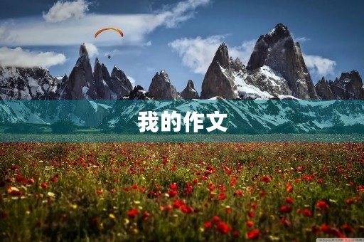 我的作文 我的作文