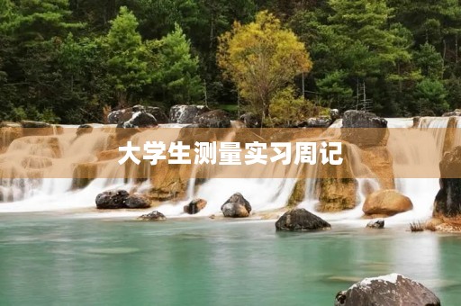 大学生测量实习周记 大学生测量实习周记