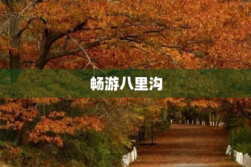 畅游八里沟